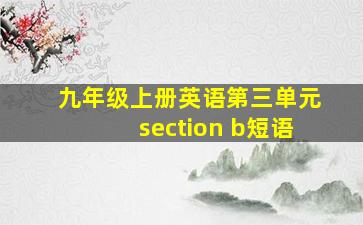 九年级上册英语第三单元section b短语